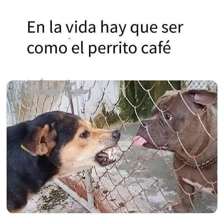 EnsedeCiencia's tweet photo. https://t.co/NNJSjm0ihC