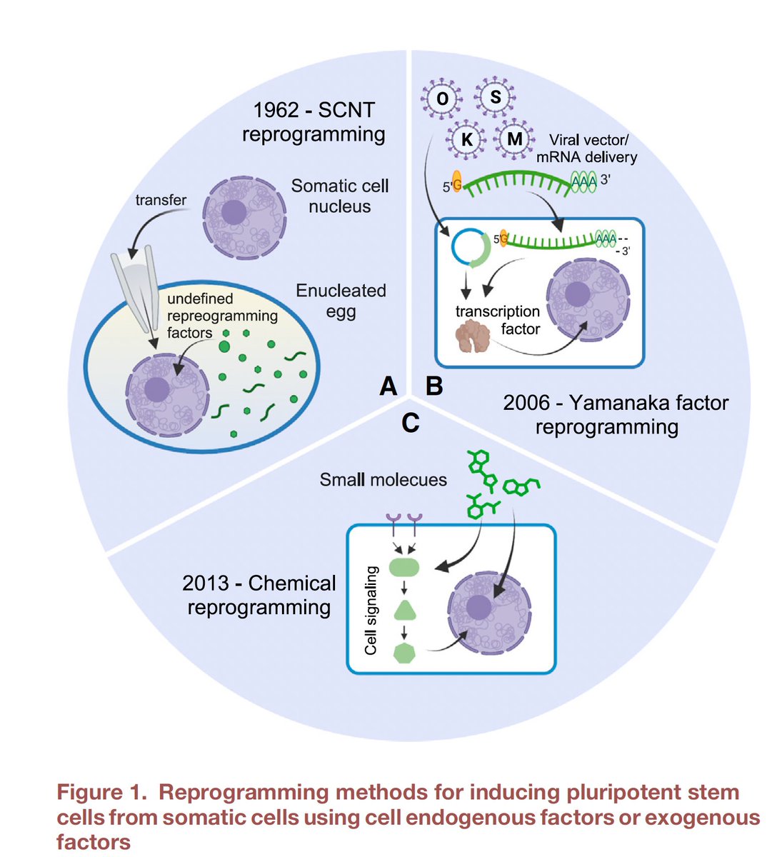 Eric Topol tweet media
