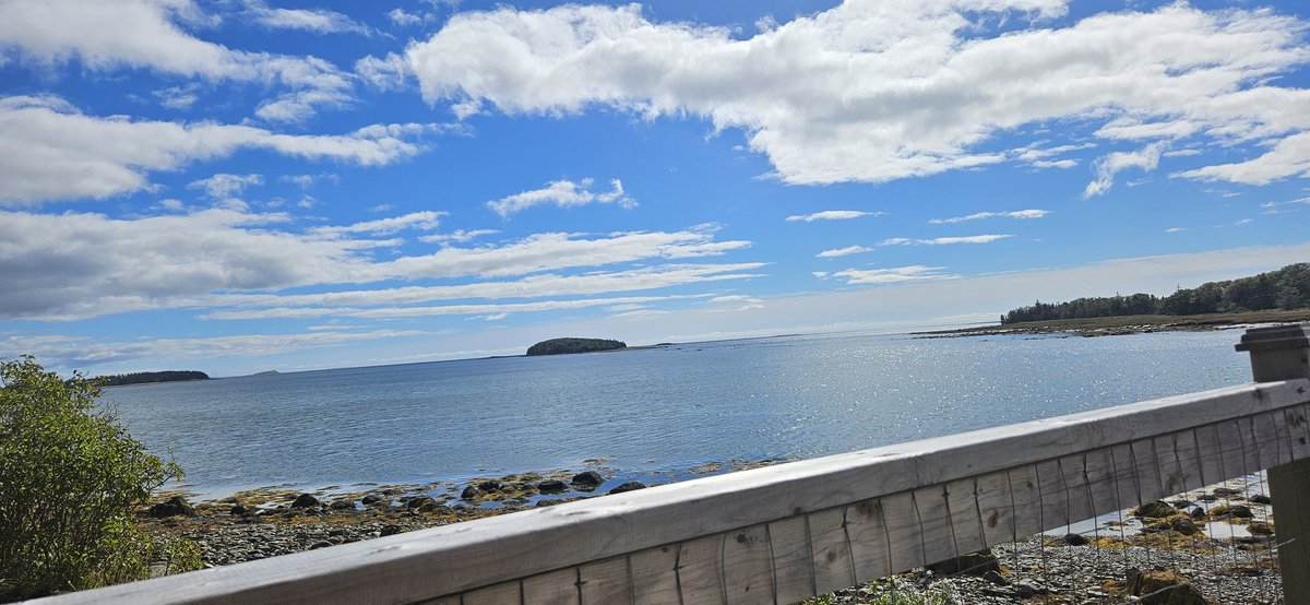 SabrinaCAWhynot's tweet photo. Nothing soothes my soul more than sitting by the ocean and feeling the breeze while reading a good book. #RnR https://t.co/roElQuUysL