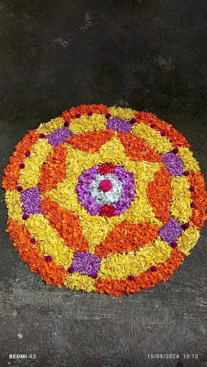 Sruthy Sreedhar (@sruthysreedhar1) on Twitter photo 