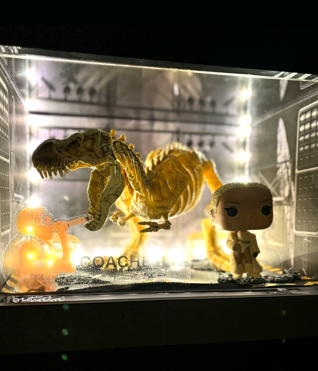 CreativeBre1's tweet image. Show me how y’all are displaying your @DojaCat @OriginalFunko !! 
#DojaCat #FunkPop #COACHELLA #Collectible