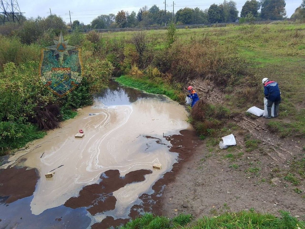 Flash Питер | Новости tweet media