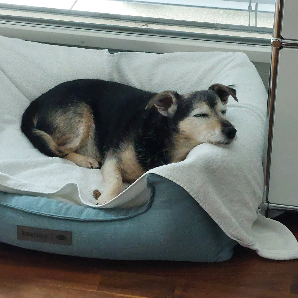 Ich bin tief berührt von den fürsoglichen Anfragen und der Karte von BM/ <a href="/Ben_Bombadil/">Ben am ewigen Glitzerwasser 🌈🖤</a> 🌈💕🐾🐾
Ich werde in absehbarer Zeit wieder schreiben und grüsse euch alle von ganzem Herzen. 
Und mein kleiner Sternengucker wünscht euch allen eine gute Nacht. ⭐️🐾🐾⭐️