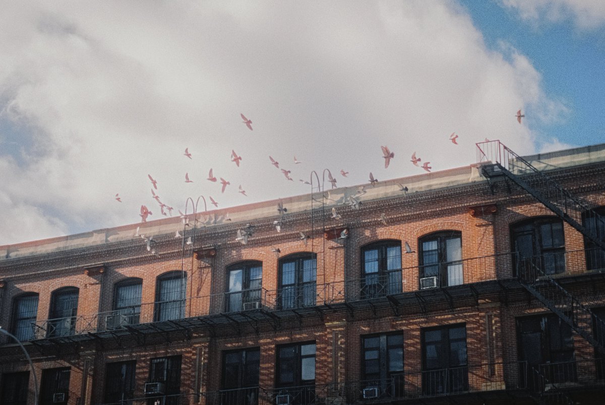 New York on 35mm film 🎞️