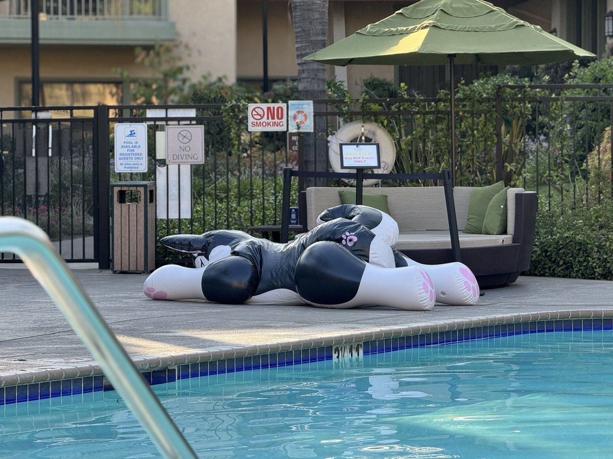 Me too buddy, me too…