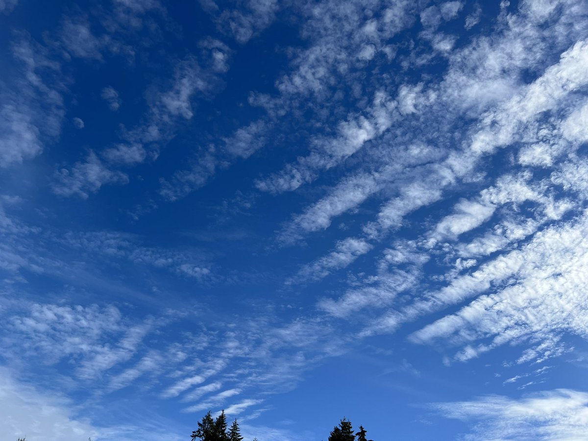 Mostly clouded over now but 45 minutes ago looked pretty.