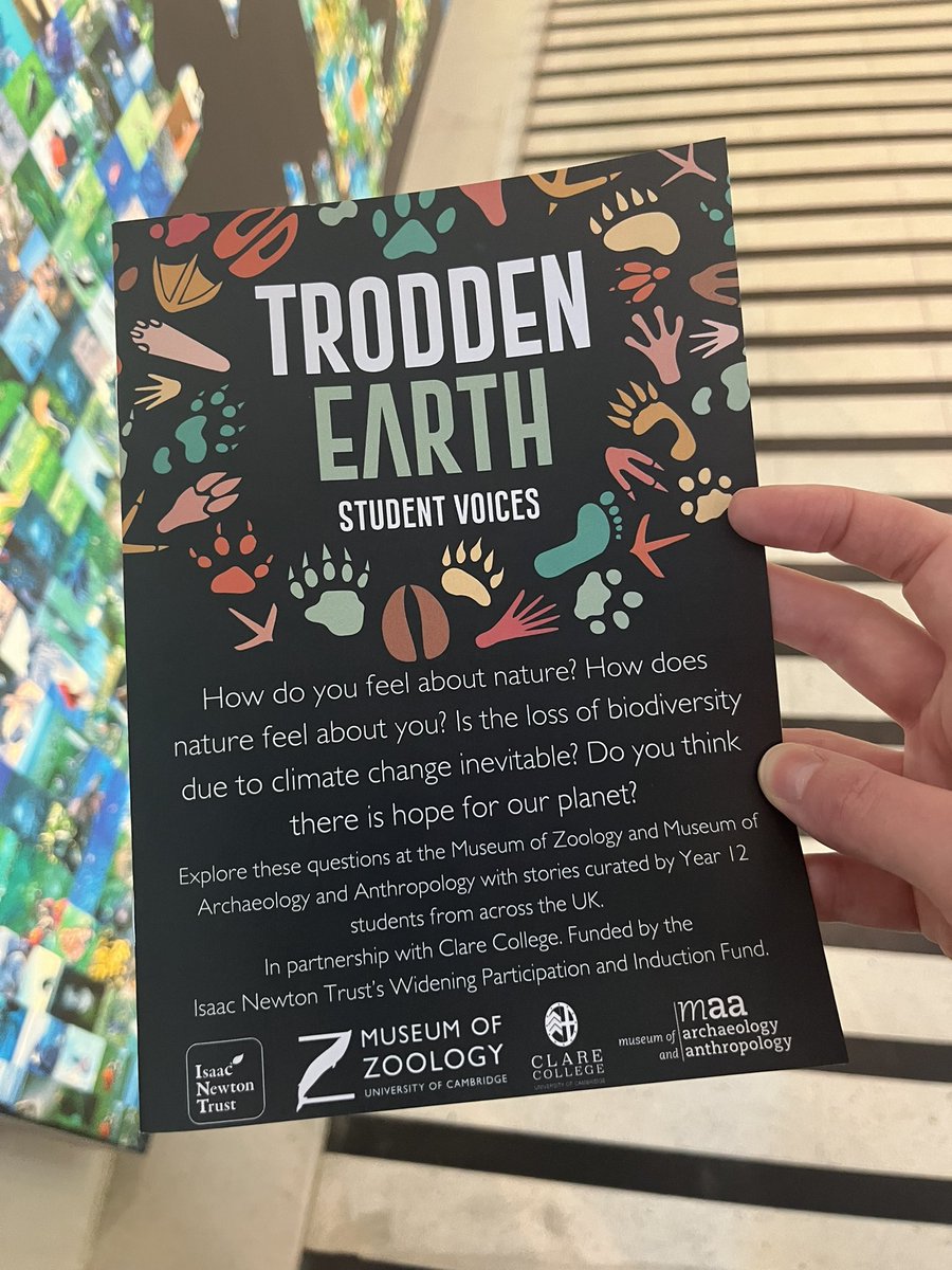 Kate Howlett (@k_howlett) on Twitter photo Brilliant new Yr 12 student exhibition <a href="/ZoologyMuseum/">Museum of Zoology, Cambridge</a> & <a href="/MAACambridge/">Museum of Archaeology and Anthropology</a>!
Hear from student voices about our complicated relationship with our planet + our collective responsibility to care for it
#TroddenEarth open from tomorrow until Dec! Don’t miss these voices!! Brilliant new Yr 12 student exhibition <a href="/ZoologyMuseum/">Museum of Zoology, Cambridge</a> & <a href="/MAACambridge/">Museum of Archaeology and Anthropology</a>!
Hear from student voices about our complicated relationship with our planet + our collective responsibility to care for it
#TroddenEarth open from tomorrow until Dec! Don’t miss these voices!!