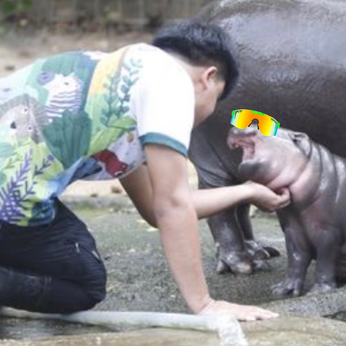 Pbenz | Keeper of Moo Deng CTO tweet media