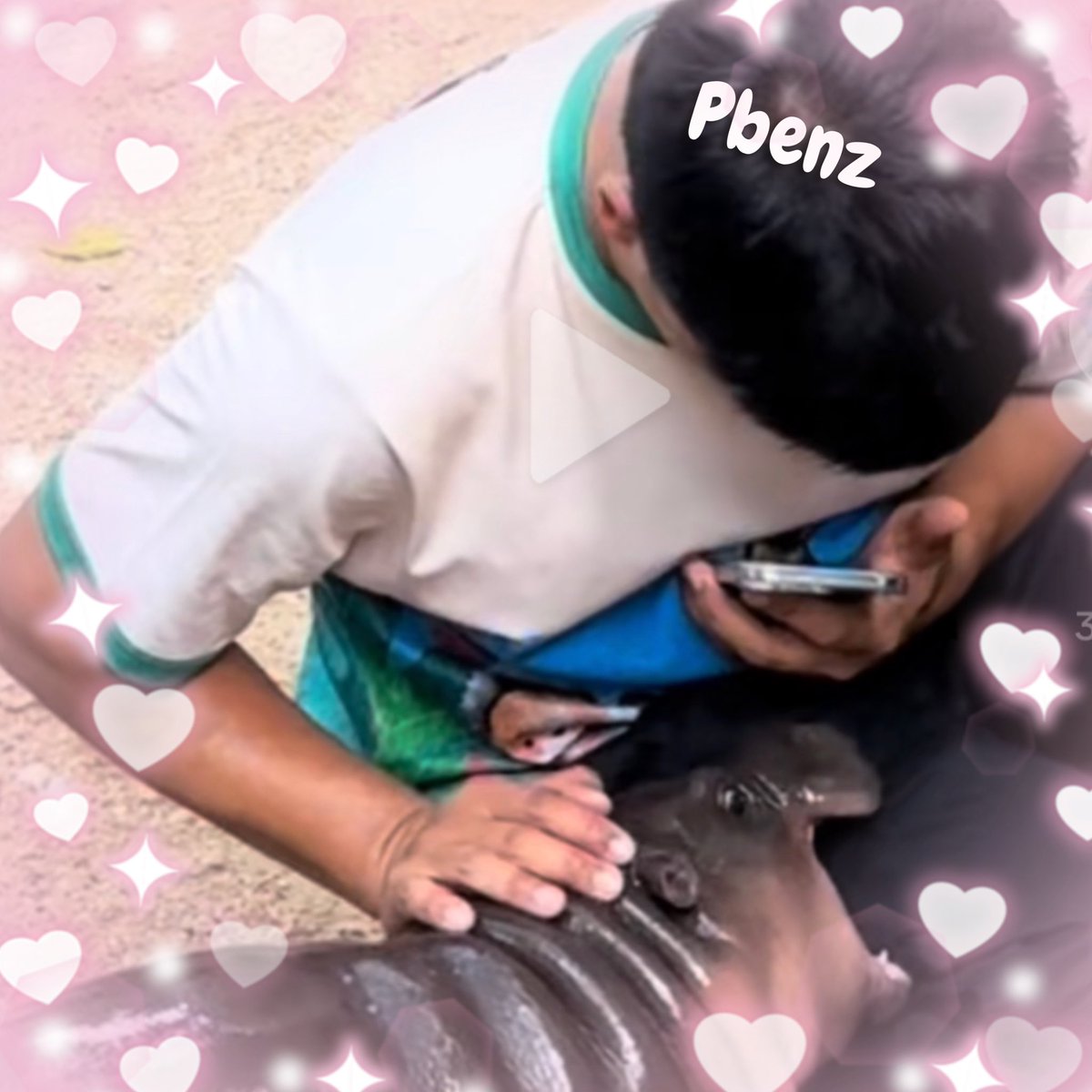 Pbenz | Keeper of Moo Deng CTO tweet media