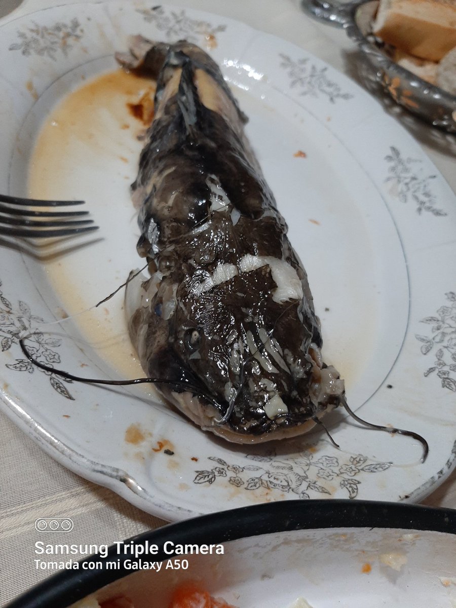 FGeredin's tweet photo. Compartiendo encuentro con amigos. Cena , risas, charla. Hermosa noche! 💖 🤗🧉🎂🐟👈 nuestra cena...mmmm...exquisito!!! Gracias chachito querido. https://t.co/Z5qRW99Xwr