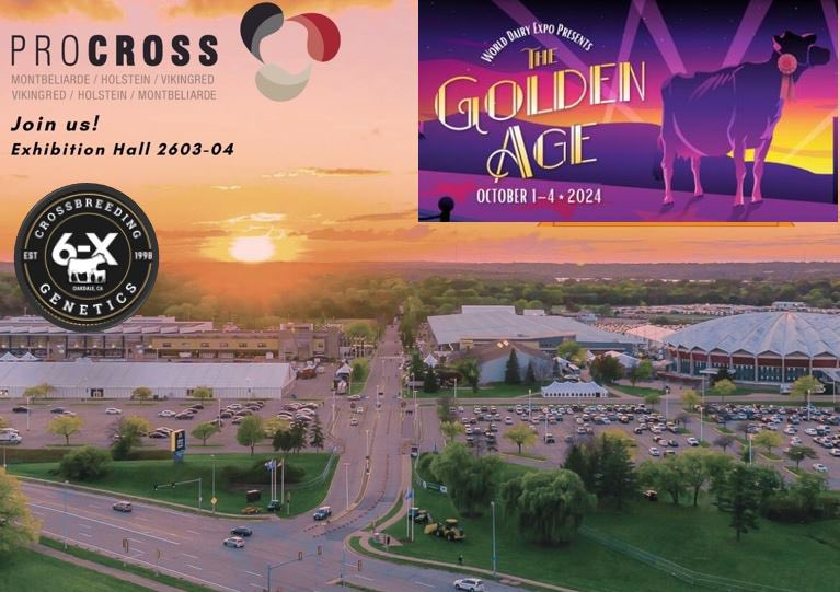 ProCROSS tweet media