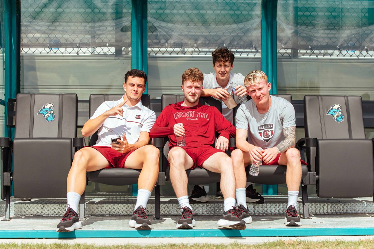 South Carolina Men's Soccer tweet media