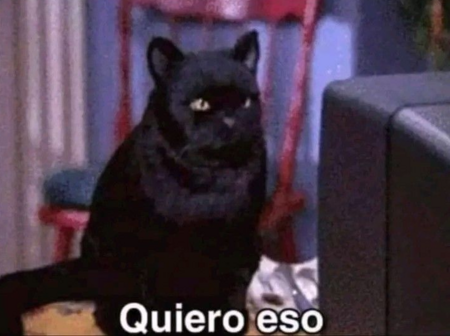 Bitso's tweet photo. Yo esperando la quincena, mientras veo las criptos que aún no tengo. 😅 https://t.co/vv4fehdP3B