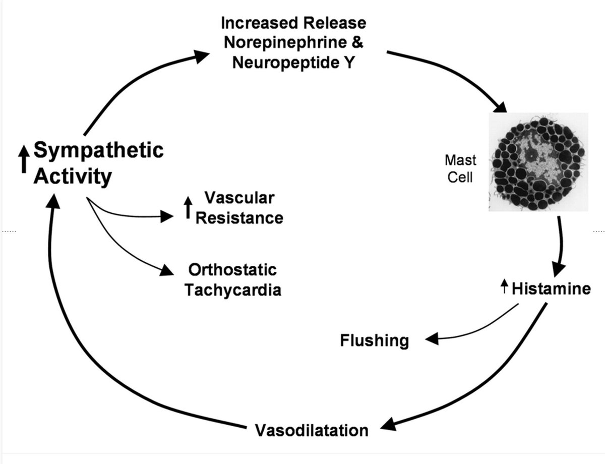 🕸️Dr.T, PhD tweet media