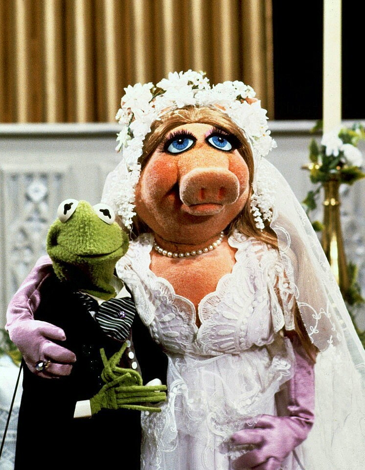 MuppetPictures's tweet photo. https://t.co/1vGdRTf0YS