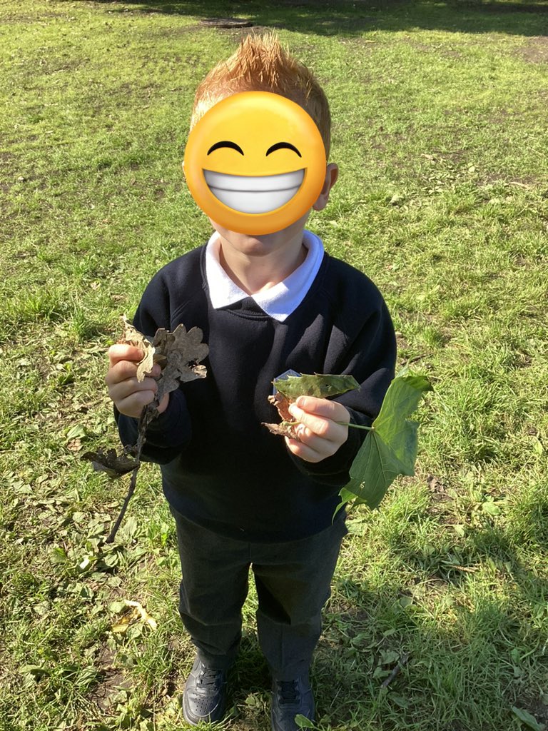 MissRDHarry tweet media