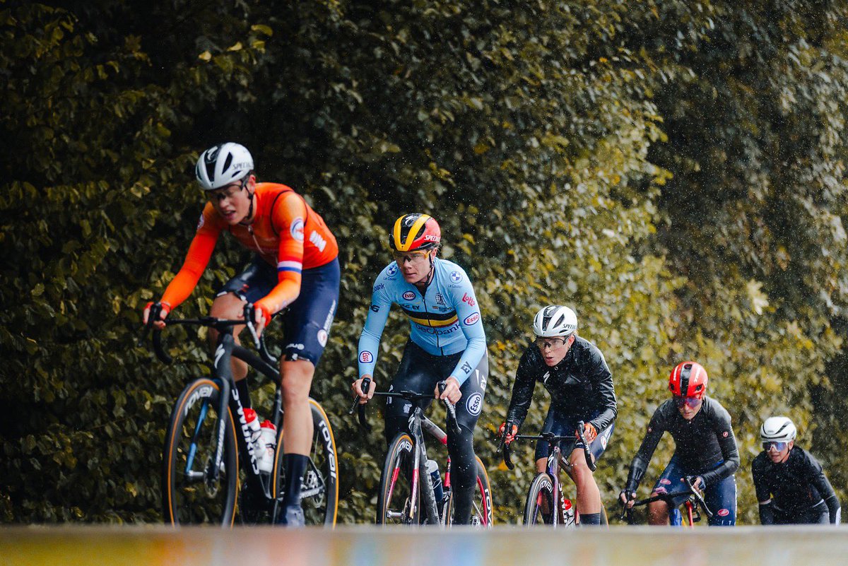 Harry Talbot tweet media