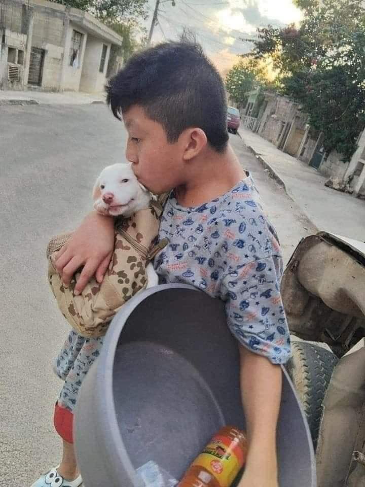 iRazasdePerros's tweet photo. Este niño que vende palomitas, para darle de comer a su perro.

La cara de felicidad de ambos no tiene precio. ❤️🥰❤️ https://t.co/kWmxyxuhvu