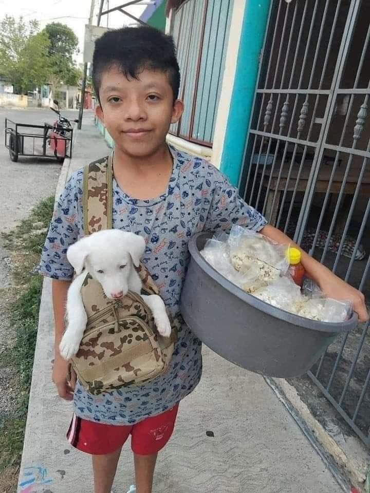 iRazasdePerros's tweet photo. Este niño que vende palomitas, para darle de comer a su perro.

La cara de felicidad de ambos no tiene precio. ❤️🥰❤️ https://t.co/kWmxyxuhvu