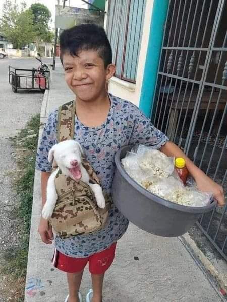 Este niño que vende palomitas, para darle de comer a su perro.

La cara de felicidad de ambos no tiene precio. ❤️🥰❤️