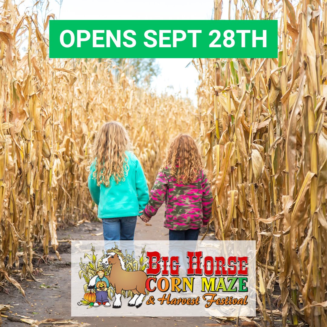 🌽 Get lost in the fun at Big Horse Corn Maze, now open for the 2024 season!   Grab your tickets online and dive into the excitement faster.  Tickets &amp; information: bighorsecornmaze.com

#Cornmaze #FullFun #VisitTemecula #FamilyFun