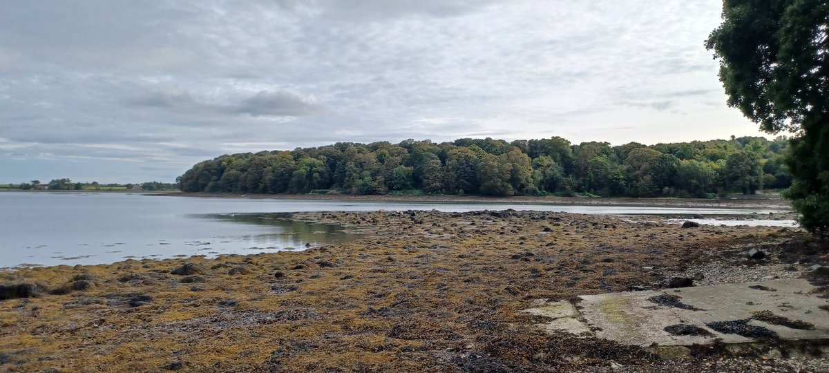 PatrickJMB's tweet photo. Castleward 2 of ..
#Lecale #LoveCoDown https://t.co/Gj0oe5q9Y7