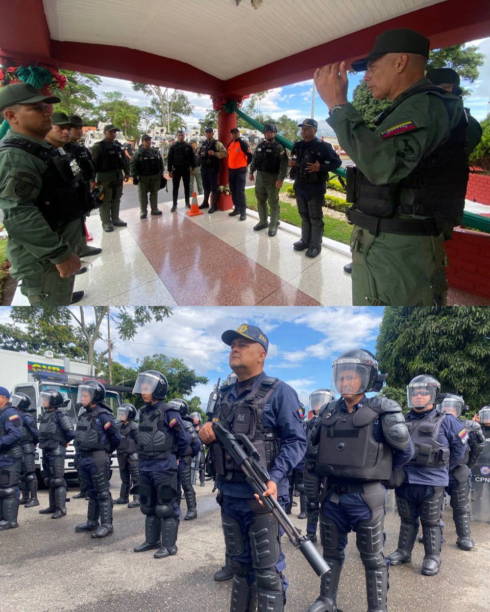 GJ. Domingo Hernández Lárez tweet media