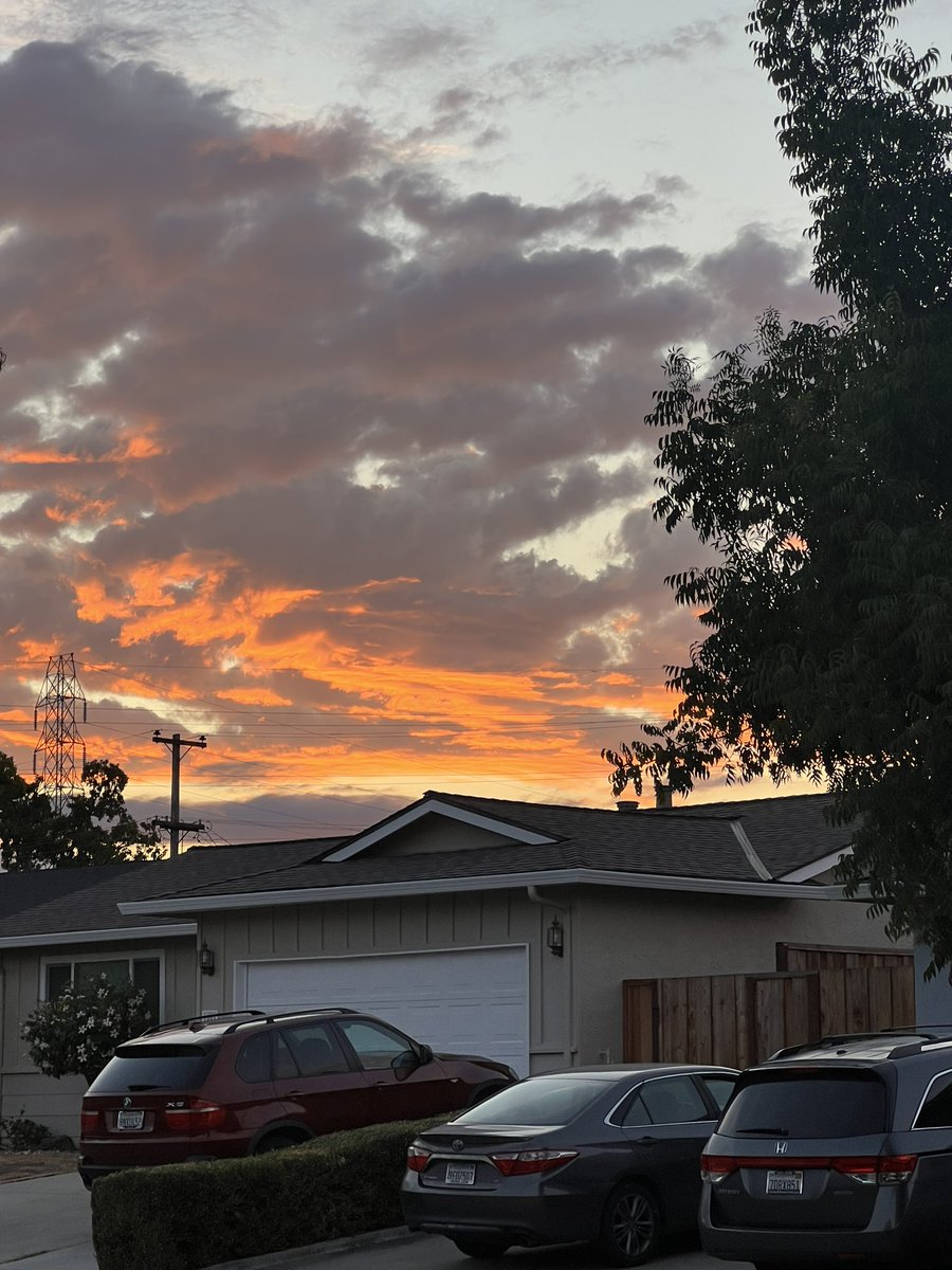 On a walk in the neighborhood.