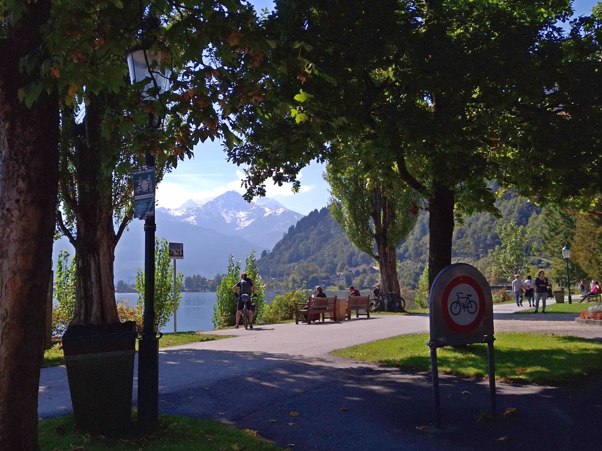 squaresteps's tweet image. NO CYCLING!
It doesn't apply to cyclists. 
Neither do red lights, no entries, one-way streets, no left / right turns, speed limits, riding on pavements  or in pedestrian precincts.
And to cap it all, they expect you to get out of their way!!