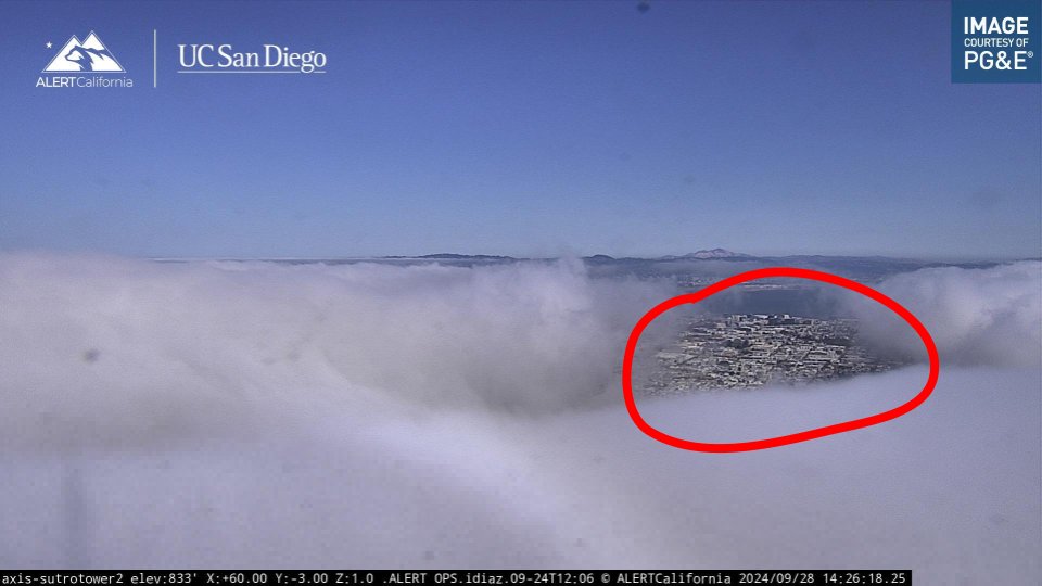 NWS Bay Area 🌉 (@nwsbayarea) on Twitter photo Congratulations to these people for getting sun today in San Francisco. Good job, everyone.
📷: <a href="/ALERTCalifornia/">ALERTCalifornia</a> Congratulations to these people for getting sun today in San Francisco. Good job, everyone.
📷: <a href="/ALERTCalifornia/">ALERTCalifornia</a>