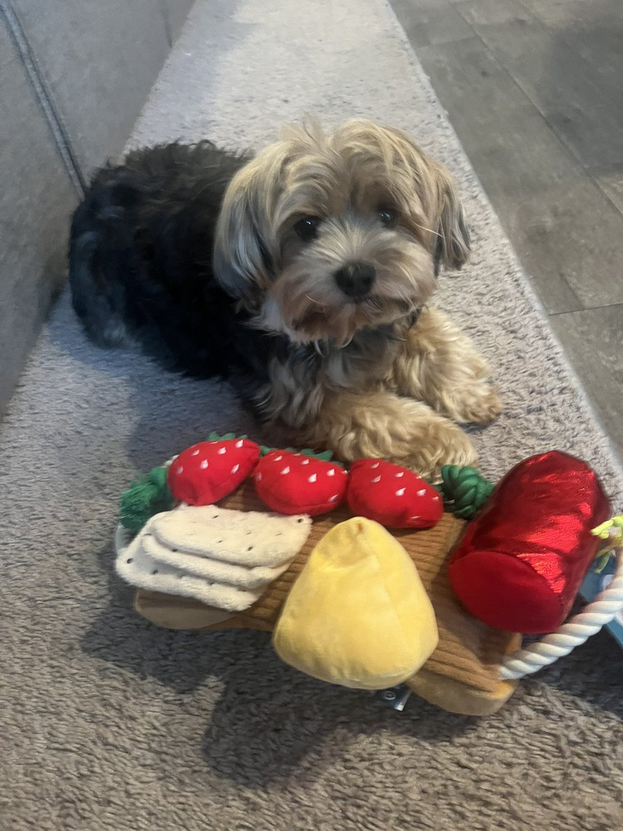 joyspauld's tweet photo. The cutest! 🧡#NewToyAlert https://t.co/YAAfD51PkO