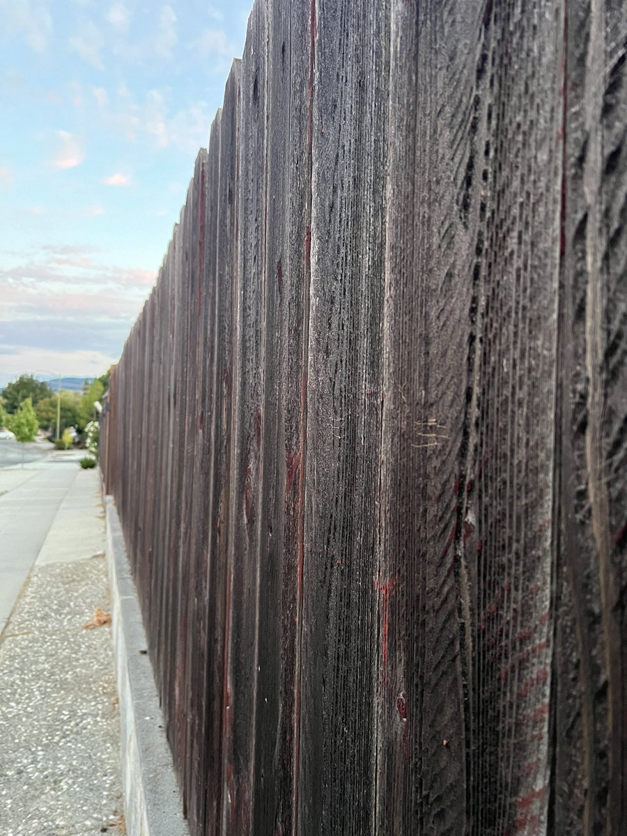 Chris Kay 🤼🎺🥁🤯#🟦✊🏾🇺🇦🏳️‍🌈🇮🇱🇺🇸🌊 (@chrisk5678) on Twitter photo 