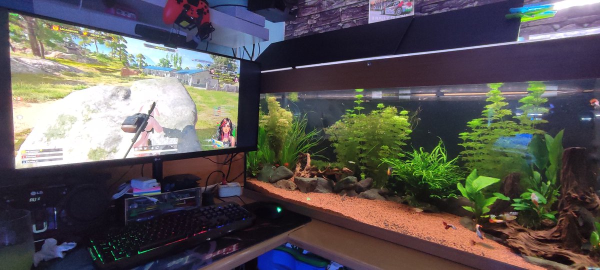 Mientras vemos a <a href="/Ancar_Lol/">LaKasitos ❥</a> jugar al PUBG nos relajamos tb viendo el acuario así pasamos la tarde del dabado