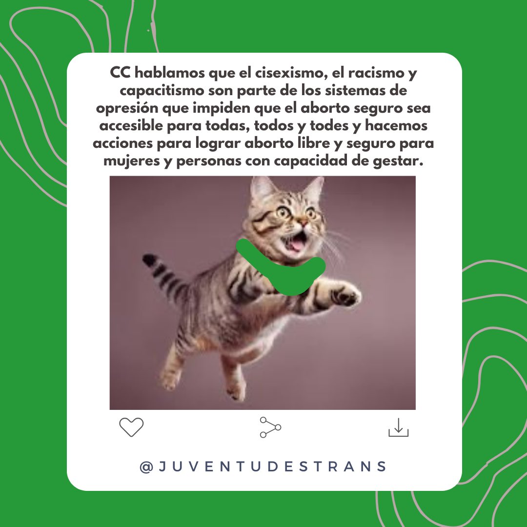 JuventudesTransMx tweet media