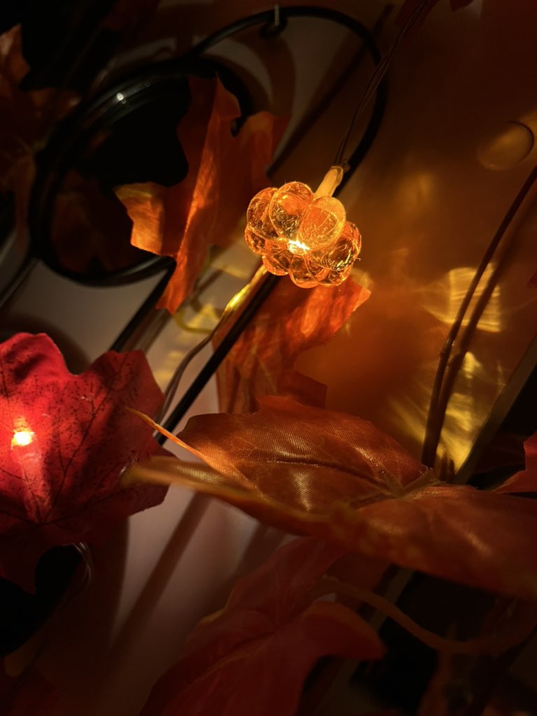 NightMousee's tweet photo. Okay, damn it. I'd rather share my new garland 🍁🦇

#Halloween #pumpkin #decor #aesthetic https://t.co/GfDmxu6aYO