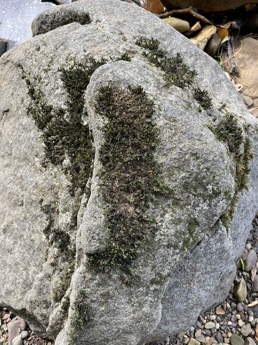 Water of Leith Conservation Trust tweet media