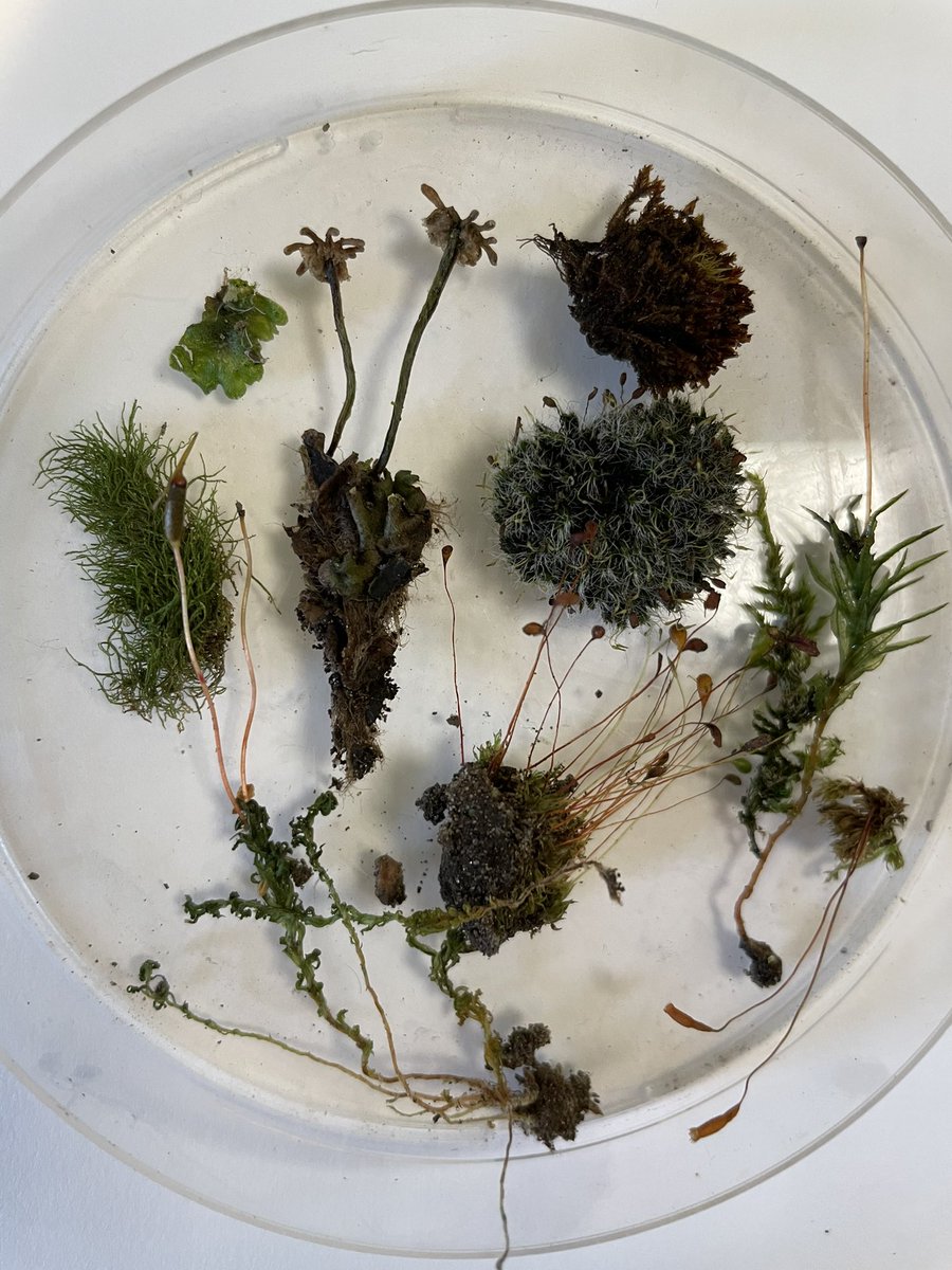 Water of Leith Conservation Trust tweet media