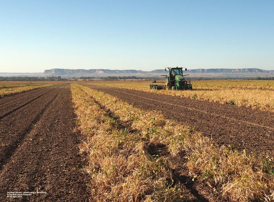 UNL_CropWatch's tweet photo. #Crop Progress | #Drybean #harvest was at 46% complete by Sept. 22, and harvest of #corn, #soybean & #sorghum continues near average pace. ยป https://t.co/zxkSpCowqi
#NebExt #ag #USDA #Nebraska #harvest24 https://t.co/C2kOlqH7An