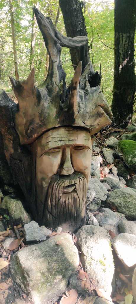 DaniV328's tweet photo. 🌲✨ Nei boschi si nasconde una magia unica. Ogni passo rivela bizzarri ritrovamenti che sussurrano storie misteriose e affascinanti. 🦉🍄 #Natura #Misteri #Avventure https://t.co/OsMnUcwBy8