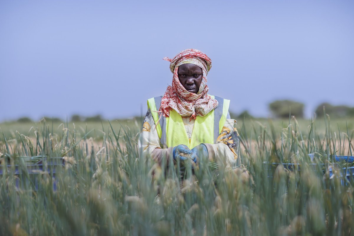 bdrpreira's tweet photo. Work for the UK embassy 🇸🇳🇬🇧

@papyproslife for the 📹 

 @embassene_uk @juliettejohn 
#senegal #uk #ukinsenegal https://t.co/kbHXALGOC6
