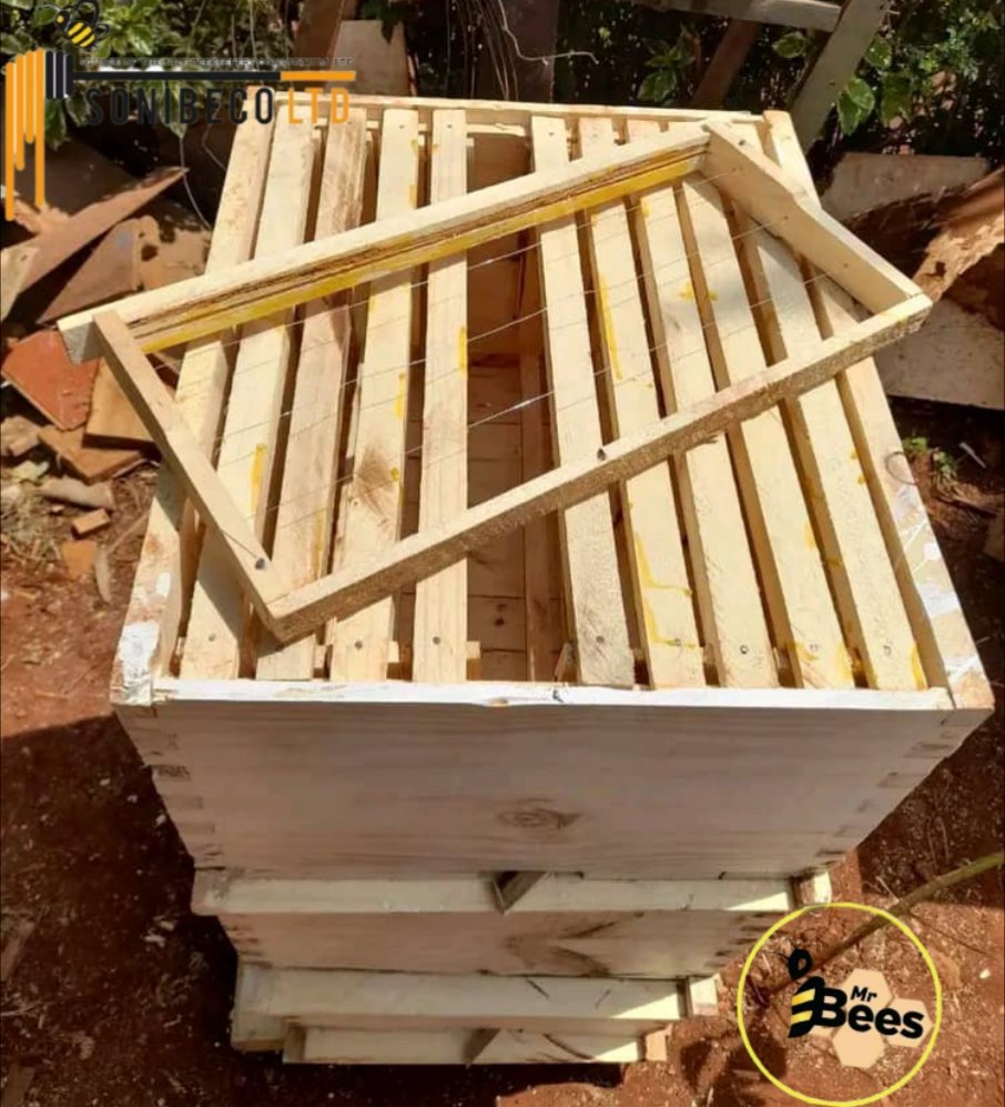 Mr Bees Africa tweet media