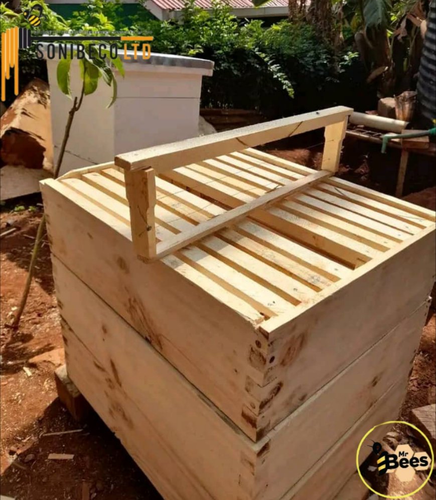 Mr Bees Africa tweet media
