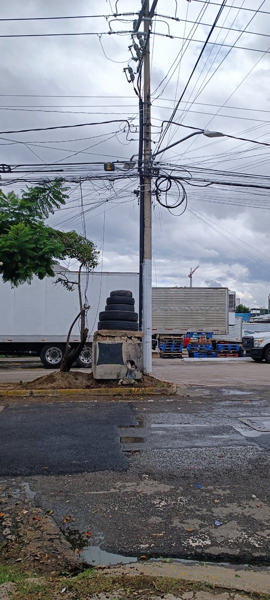 dani_luna_89's tweet photo. Ayuda, dejaron llantas de tráiler los del mercado del mar de zapopan las cuales son un criadero de mosquitos, se encuentran en el cruce de Melchor Ocampo y calle del Pial , col el vigía, frente al mercado @ZapopanGob @Trafico_ZMG @zona3noticias @TVAztecaJalisco https://t.co/hRlpjtPkI6