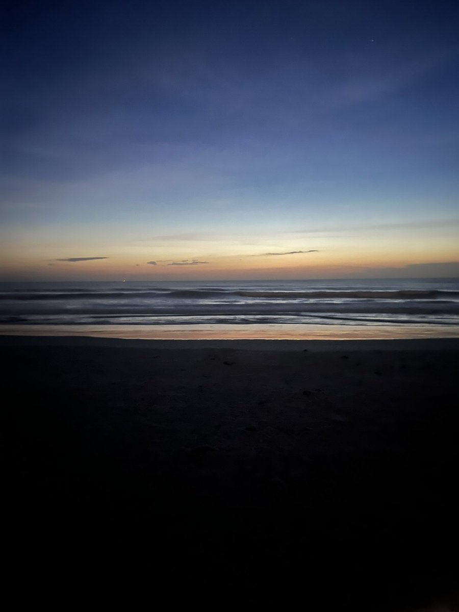 FSCJ Softball tweet media