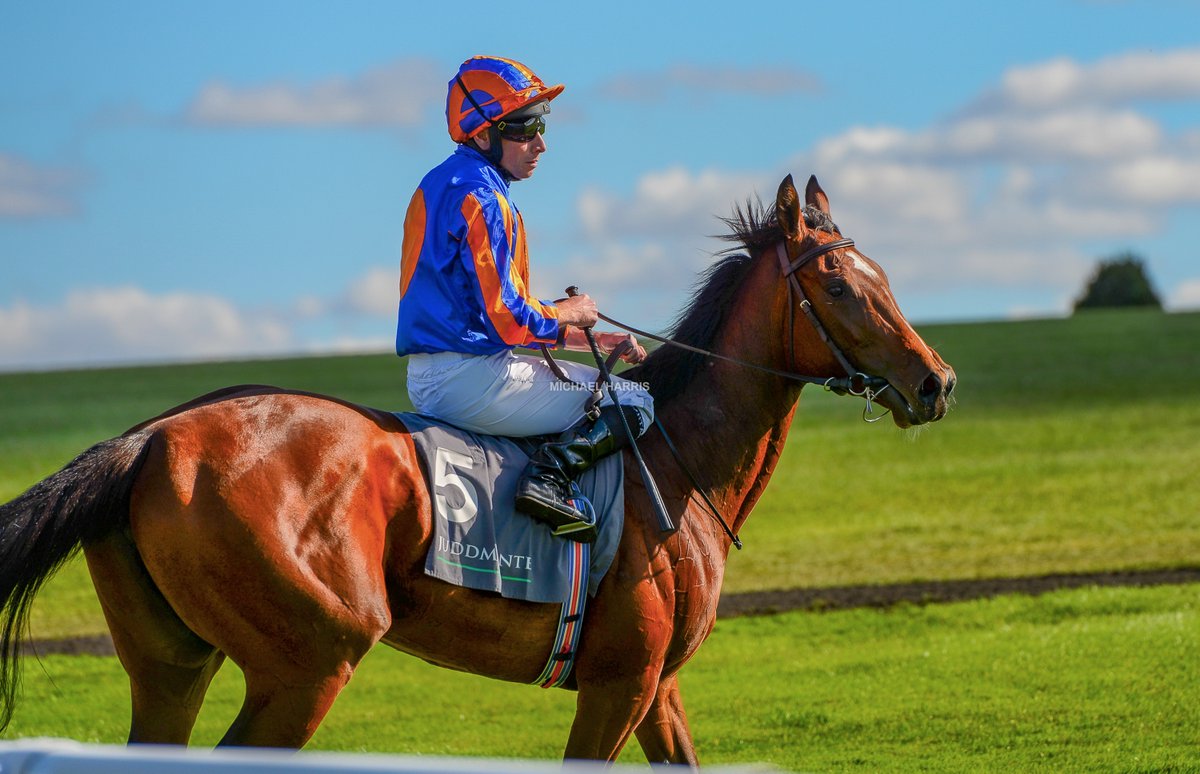 mjyharris's tweet photo. LADY VICTORIA and Ryan soon after pulling up after winning the Group 1 Cheveley Park Stakes at Newmarket today. https://t.co/xmaLn9HgmZ