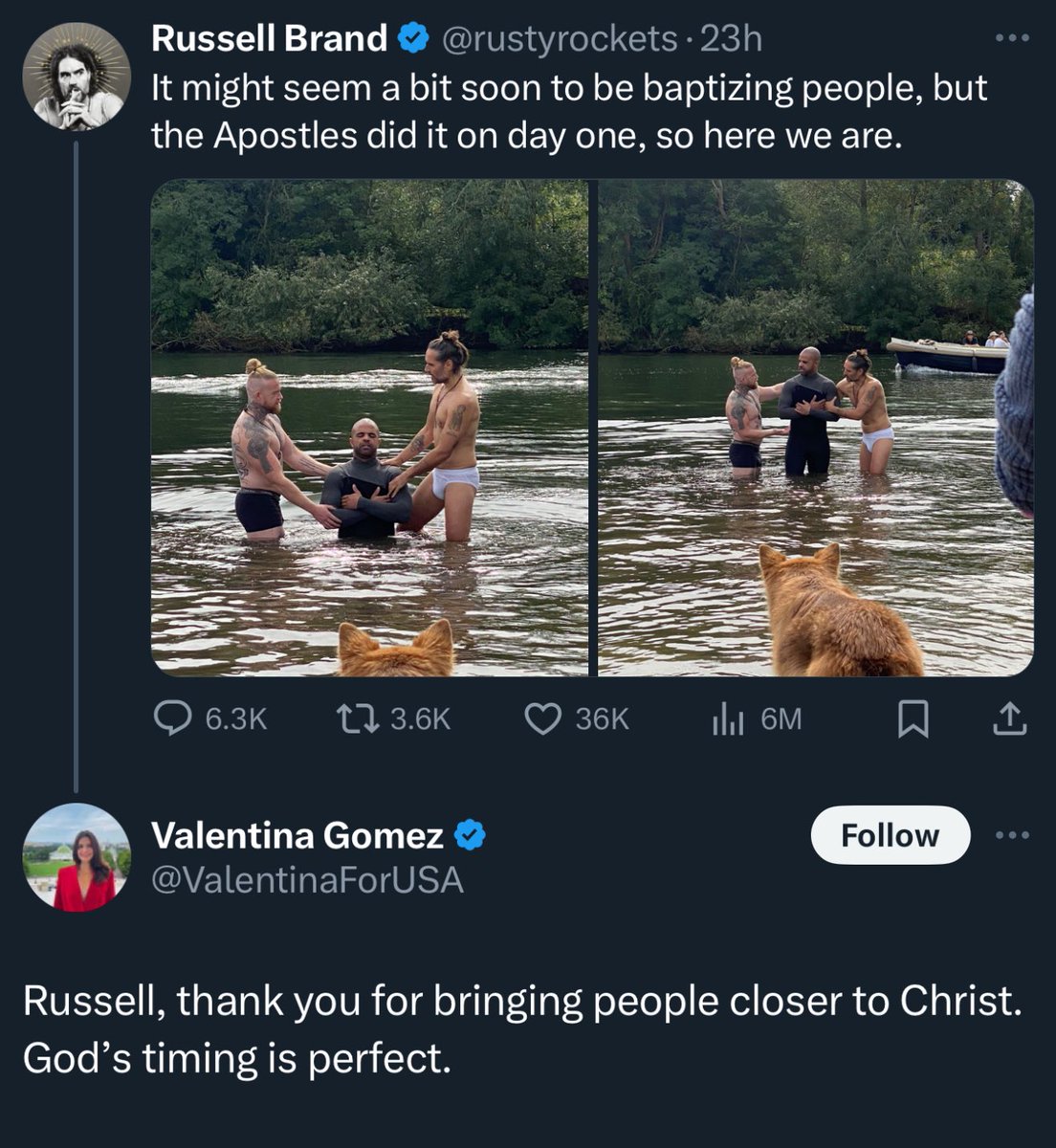 Tommy Maguire tweet media