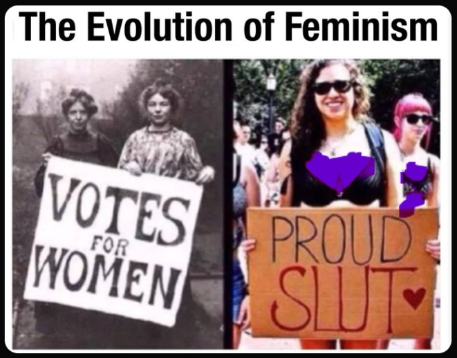 GigaBasedDad's tweet image. Feminism was a mistake.