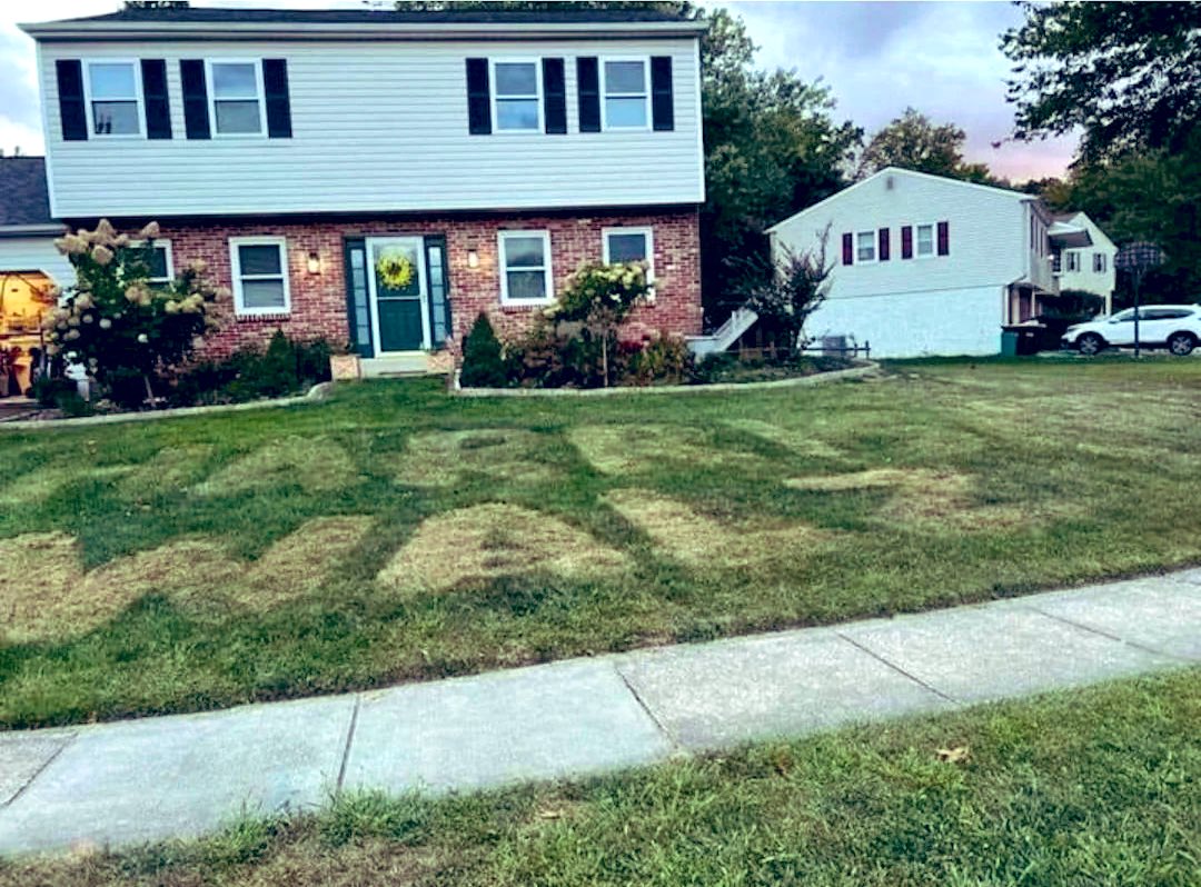 They got tired of their Harris/Walz signs being stolen.