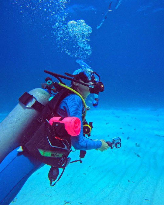 TheGratefulEvent tweet media