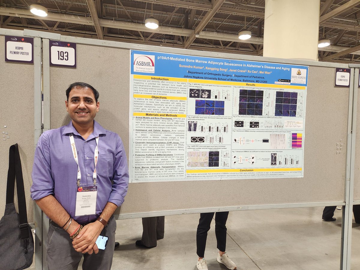 Johns Hopkins Center for Musculoskeletal Research tweet media